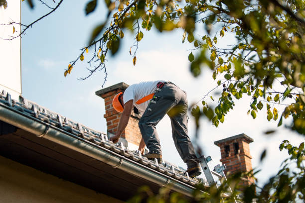 Best Roof Moss and Algae Removal  in Ada, OH