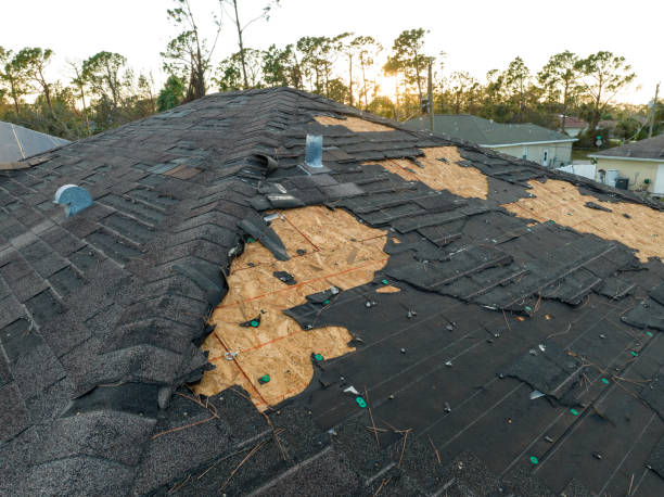 Best Roof Insulation Installation  in Ada, OH