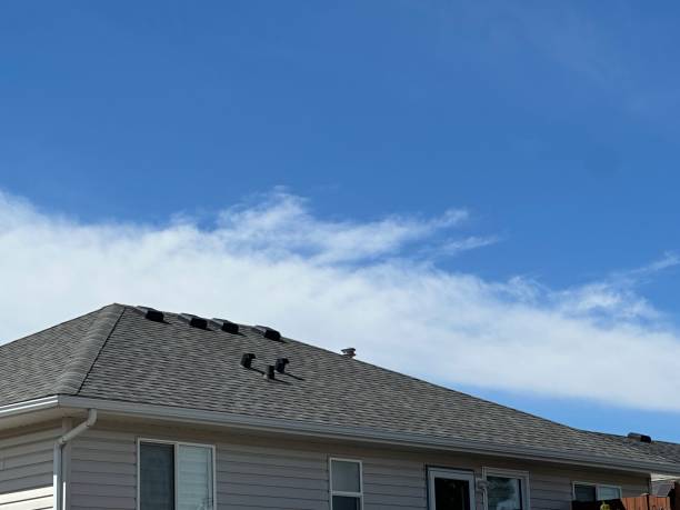 Best Roof Coating and Sealing  in Ada, OH